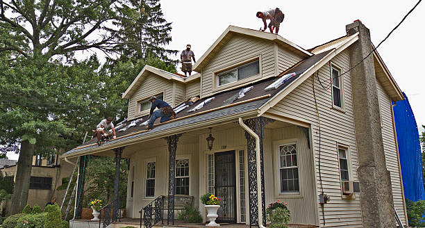Roof Gutter Cleaning in Soldotna, AK